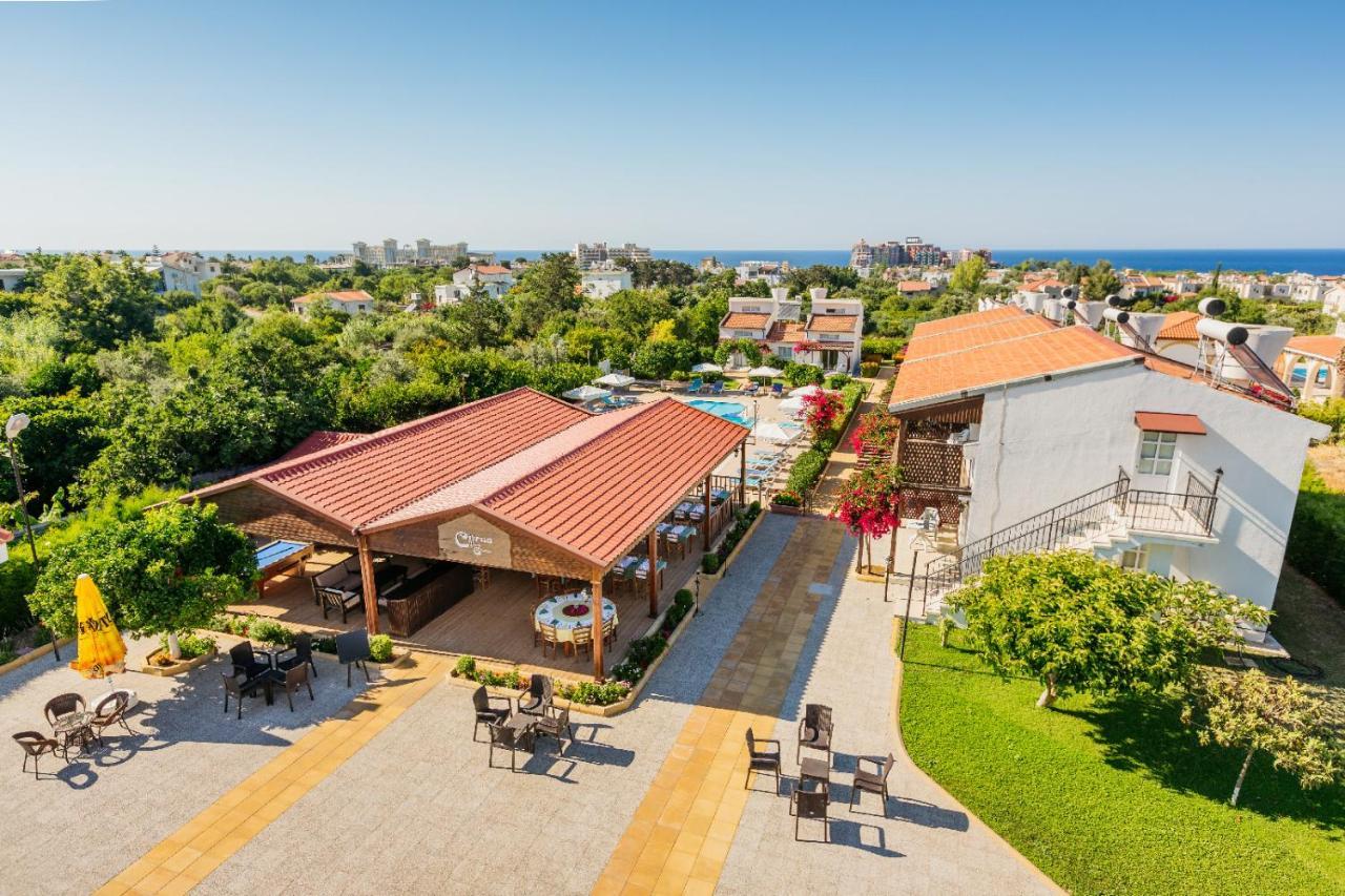 فندق Citrus Tree Gardens Karavas  المظهر الخارجي الصورة